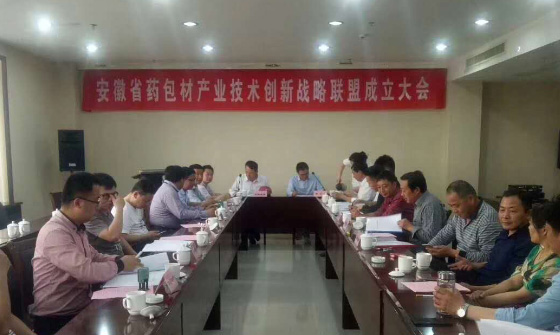 安徽省醫(yī)藥包材產(chǎn)業(yè)技術(shù)創(chuàng)新 戰(zhàn)略聯(lián)盟成立